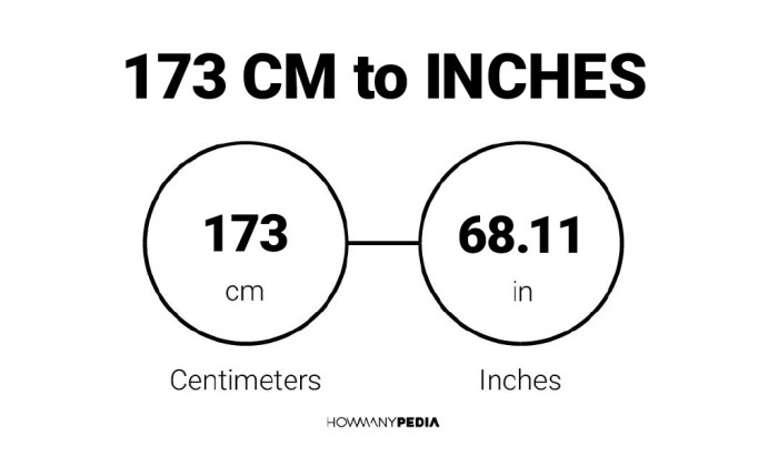 How many inches is 173cm