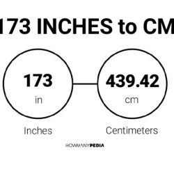 How many inches is 173cm