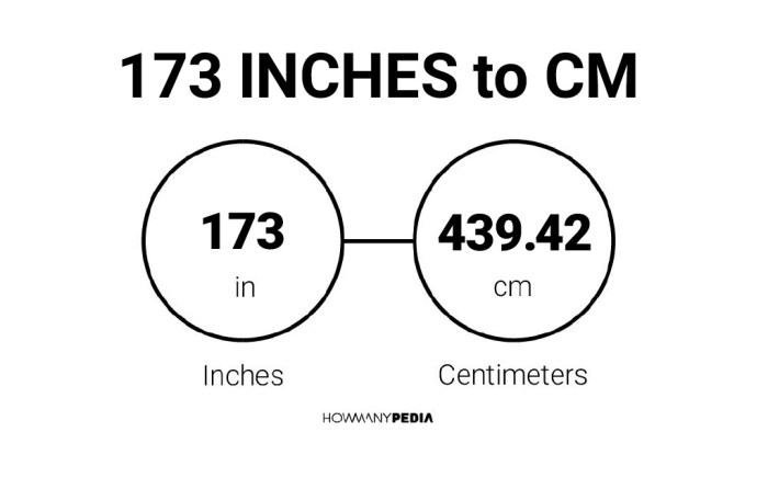 How many inches is 173cm