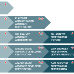 Databricks data engineer professional dumps