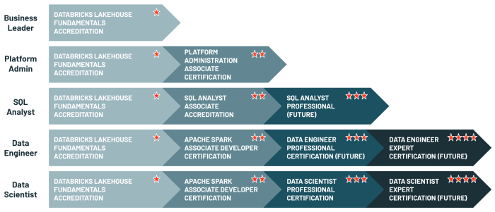 Databricks data engineer professional dumps