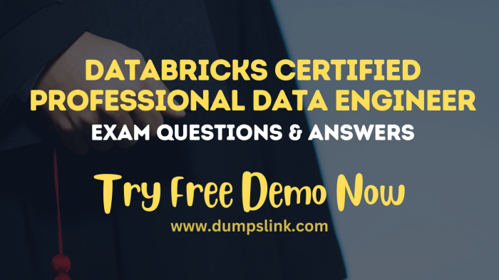 Databricks data engineer professional dumps