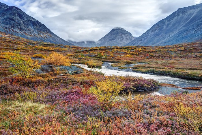 Biome in parts of alaska crossword