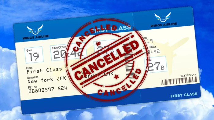 El vuelo con a san josé ha sido cancelado.