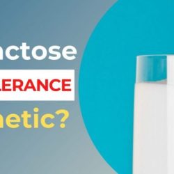 Pedigrees and the inheritance of lactose intolerance